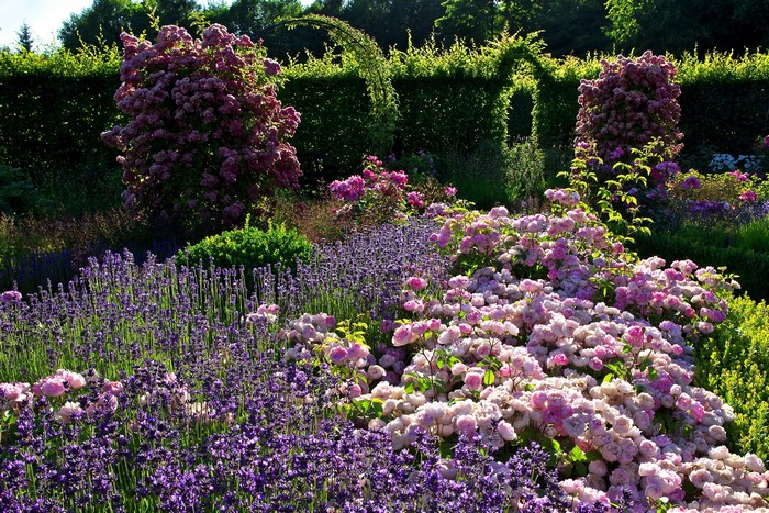 Rosengarten Merzig Park in Germany