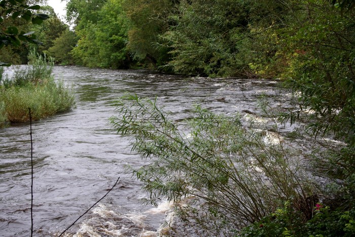 A wide river flows through a wooded area