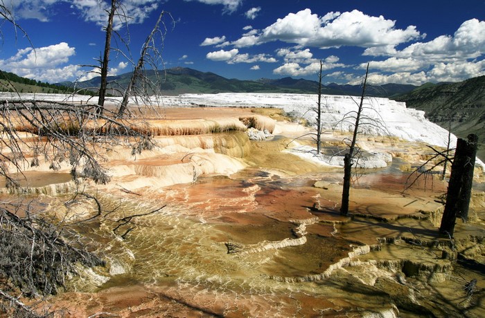 Mammoth Hot Springs, Yellowstone National Park, USA
