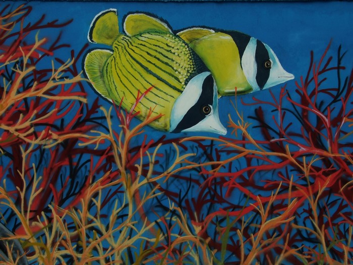 Two yellow butterflyfish swim among red and orange coral