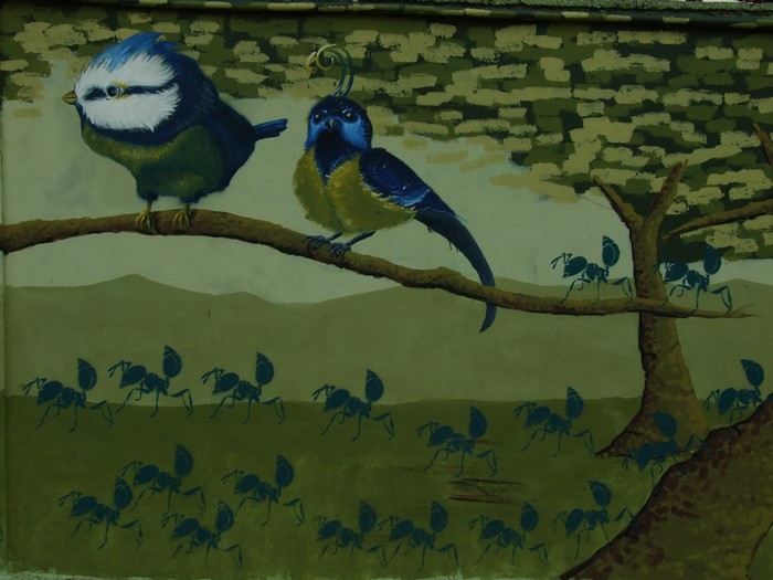 Mural of two birds and ants on a branch