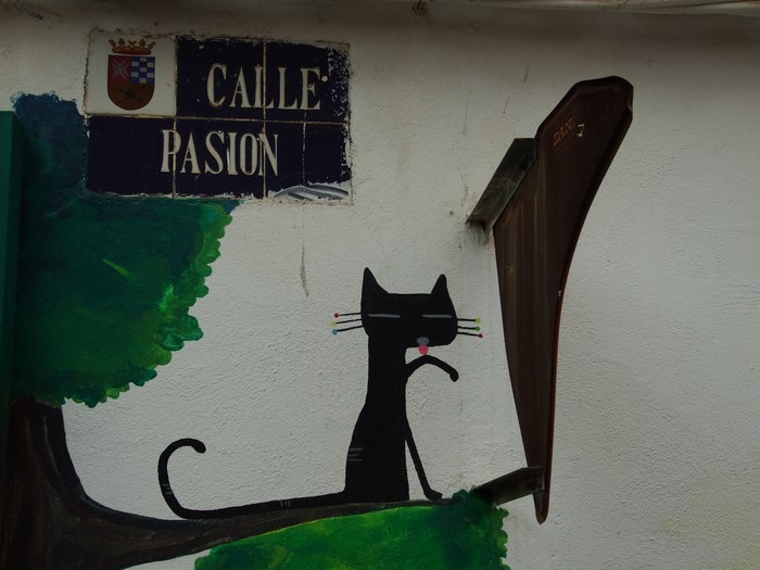 Street sign CALLE PASION with cat painting