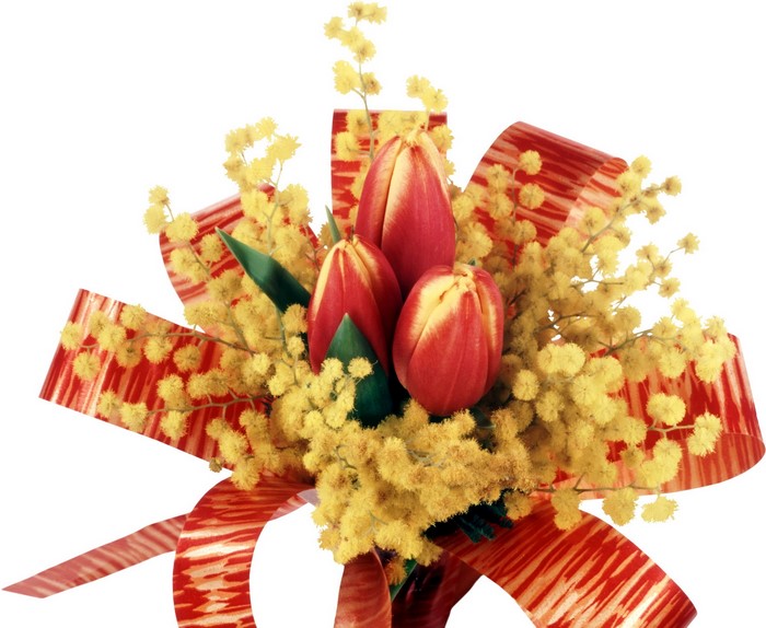 Bouquet of red tulips and yellow mimosa with a red ribbon