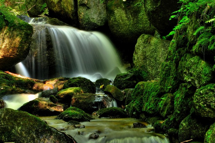 Mossy rocks and a waterfall in a forest