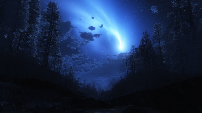 Night sky with aurora over a dark forest
