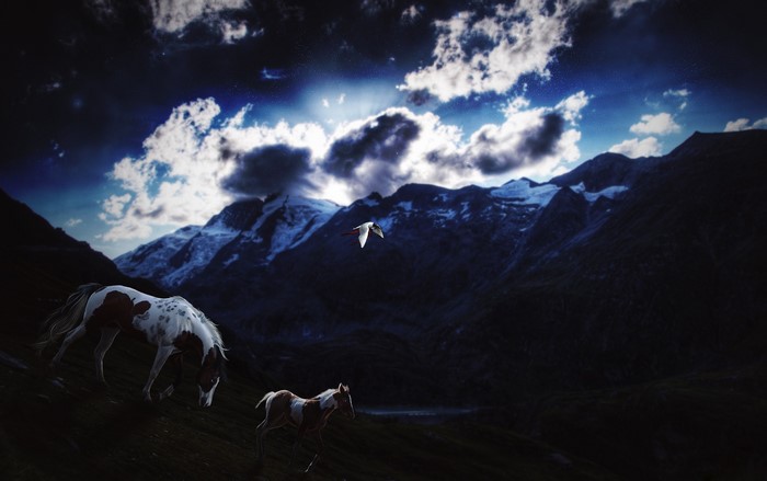 Horses in a mountainous landscape under a cloudy sky