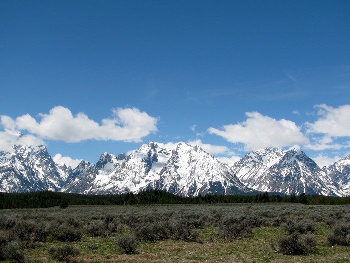 Snow-capped Teton Range mountains under a blue sky