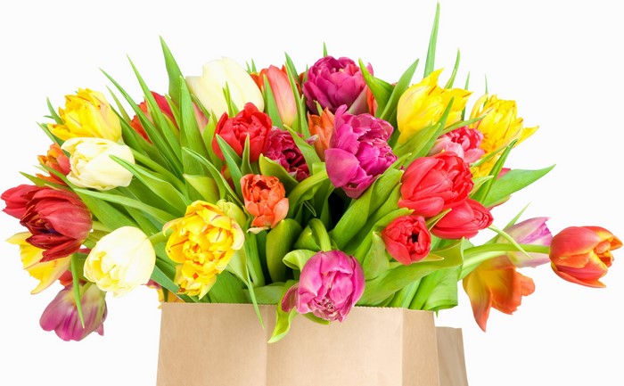 Bouquet of colorful tulips in a paper bag