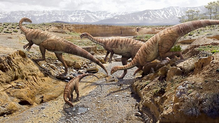 A herd of dinosaurs in a dry, rocky landscape