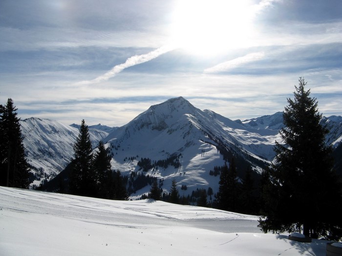 Snowy Mountains and Evergreen Trees in Switzerland