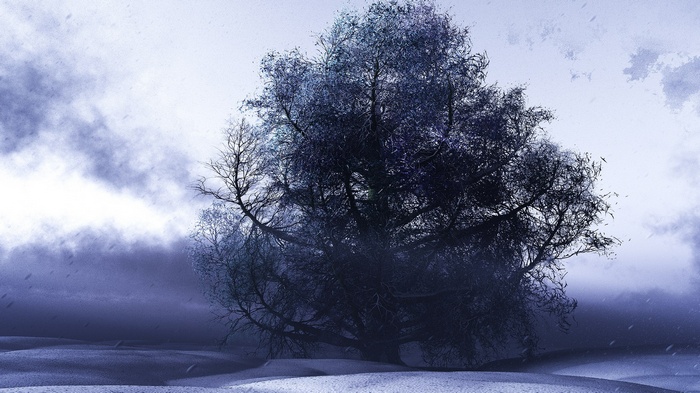 A solitary bare tree in a snowy landscape