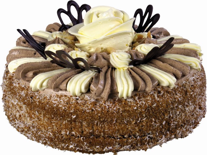 Chocolate and vanilla cake with chocolate decorations