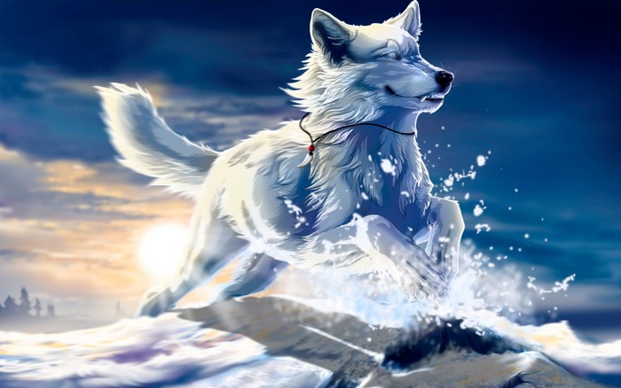 White wolf running through water at sunset