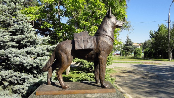 Monument to a military dog with a backpack in Volgograd