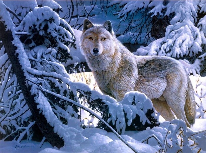 Two wolves in a snowy forest