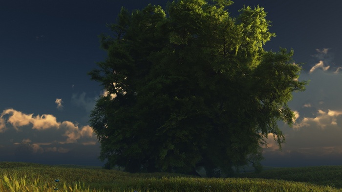 Large tree in a grassy field under a cloudy sky