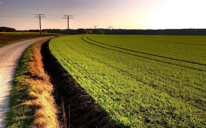 Dirt road next to a green field with power lines