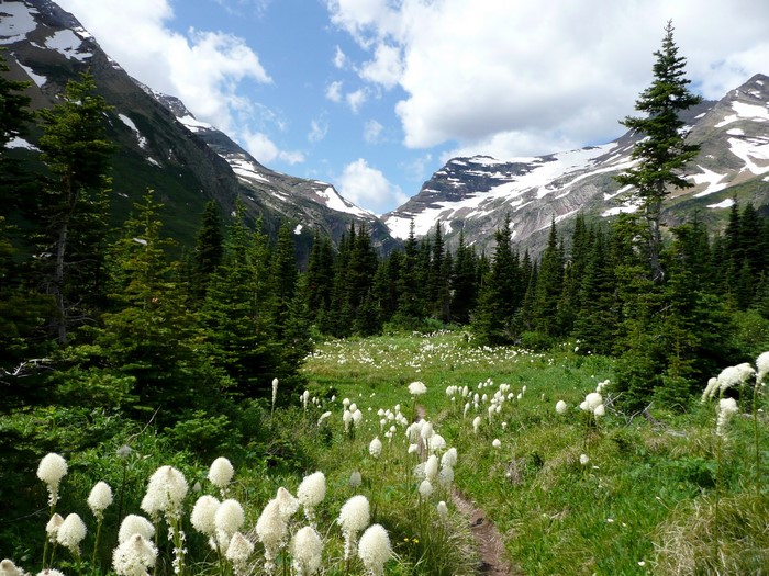 Glacier National Park, Montana, USA