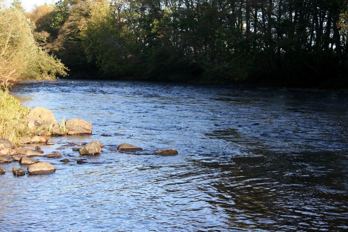 River flowing through trees and rocks