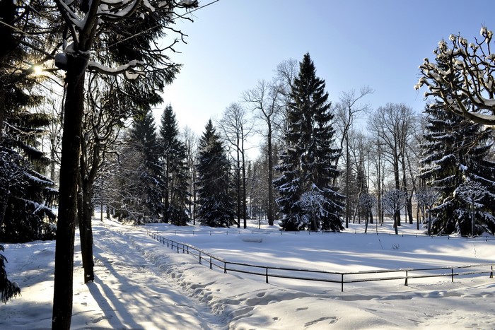 Winter park with snow-covered trees and path