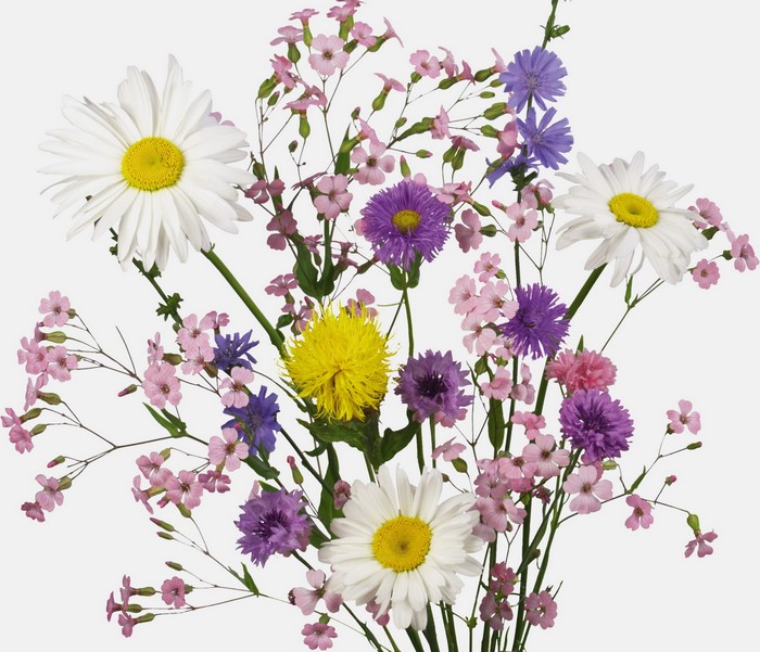 Bouquet of Wildflowers
