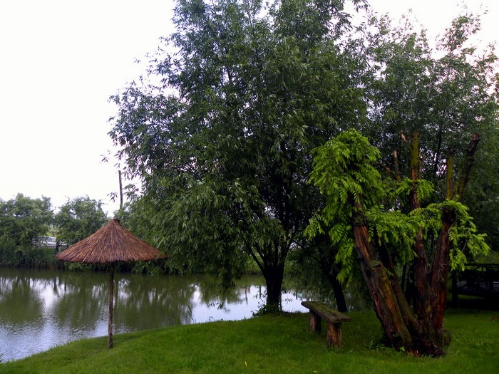Thatched umbrella by a lake with trees and a bench
