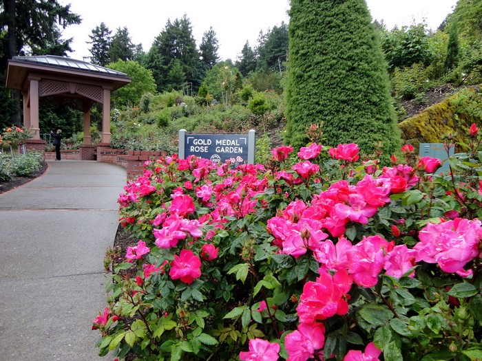 Gold Medal Rose Garden with Gazebo