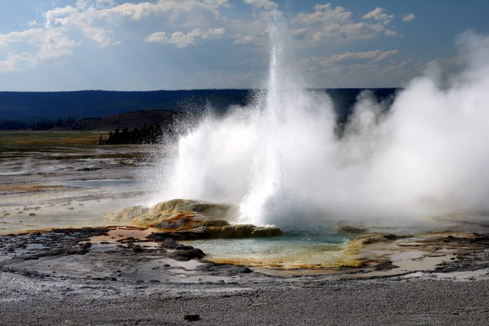 Clepsydra Geyser Erupts in Yellowstone National Park, Wyoming, USA