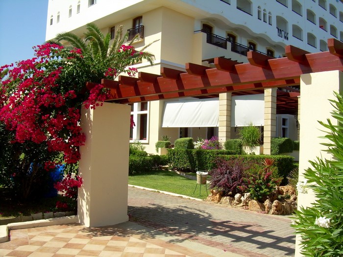 Hotel entrance with bougainvillea and palm tree