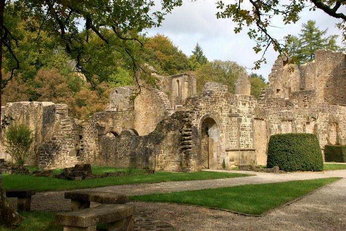 Stone ruins of an old abbey with trees and grass
