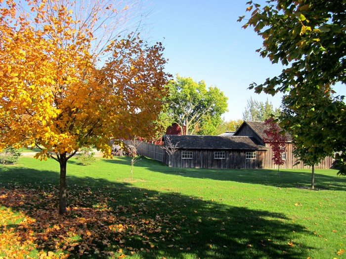 Autumn scene with wooden buildings and trees
