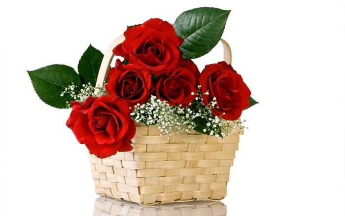 Basket of red roses with baby's breath