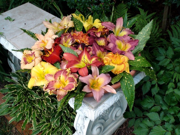 Bouquet of colorful lilies on a stone bench