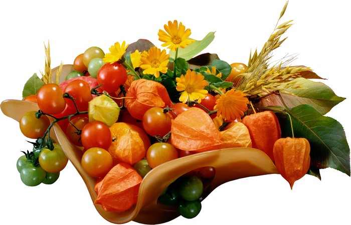 Bowl of tomatoes, physalis, flowers, and wheat