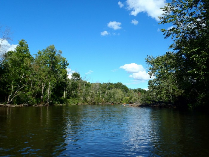 Huron River with Trees and Blue Sky