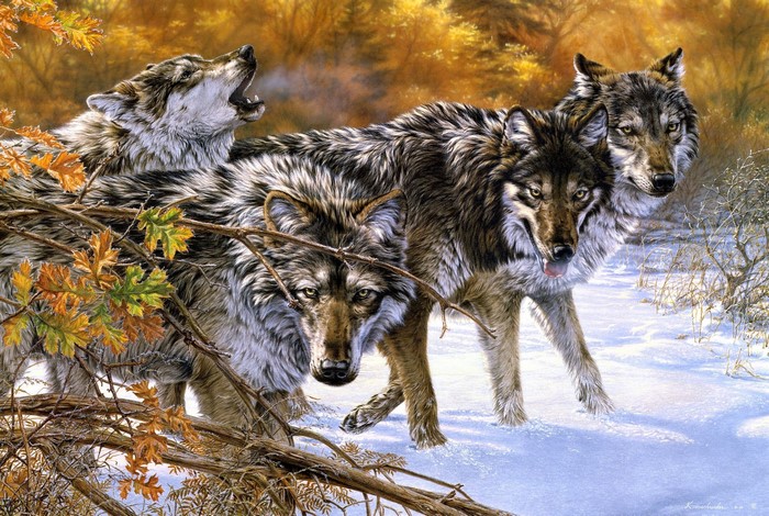 Four wolves in a snowy forest with autumn leaves