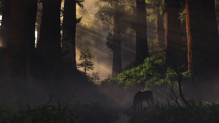 A horse grazes in a sun-dappled redwood forest