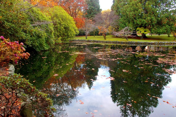 Autumn pond reflection at Hatley Park, Canada