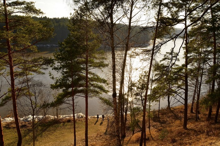 Two people walk by a lake in a forest