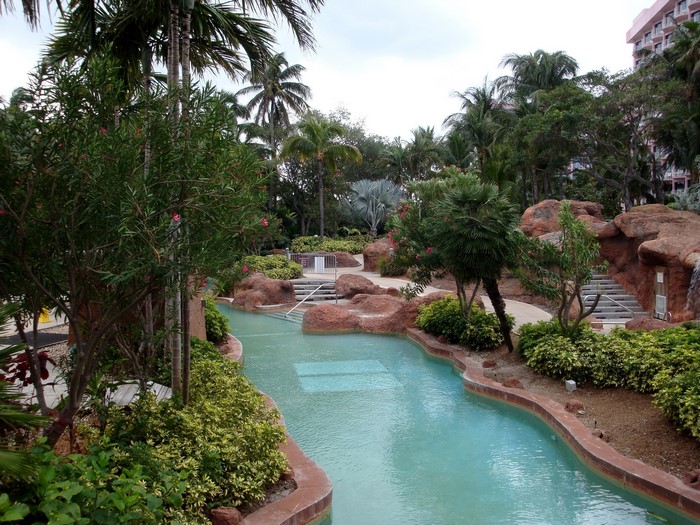 Resort lazy river with palm trees and tropical plants
