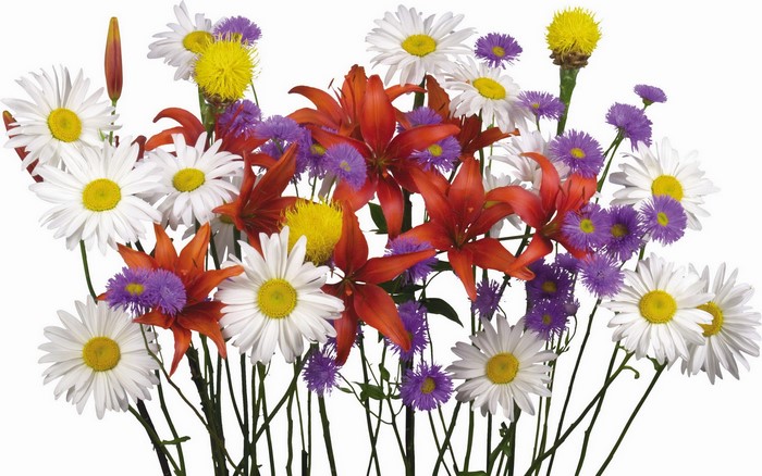 Bouquet of Wildflowers
