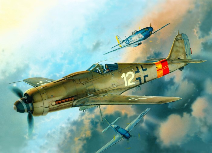 Focke-Wulf FW-190D airplanes in flight