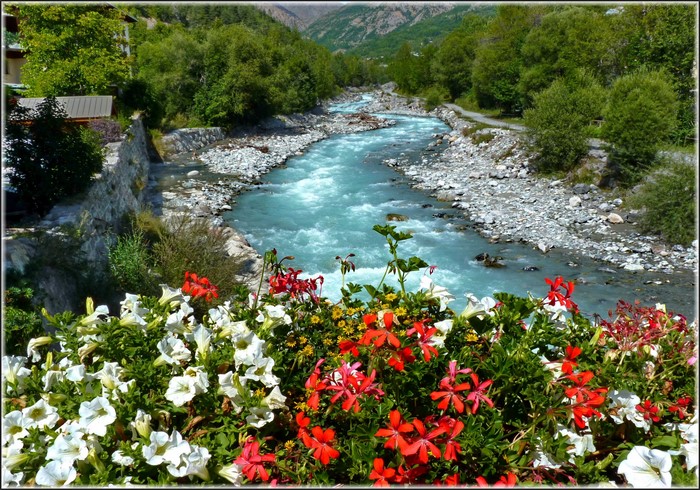 River flowing through a valley with flowers in the foreground