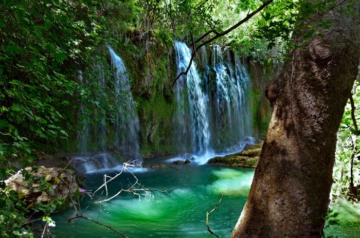 Waterfalls in a lush green forest