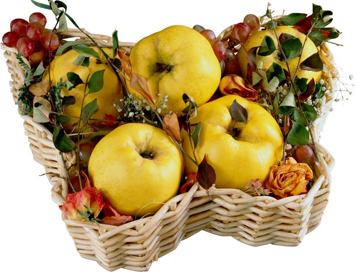 Basket of Quinces and Grapes