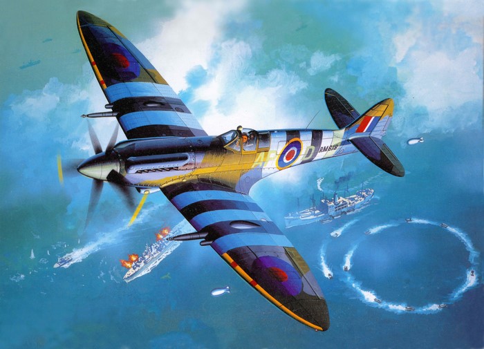 Supermarine Spitfire attacking ships