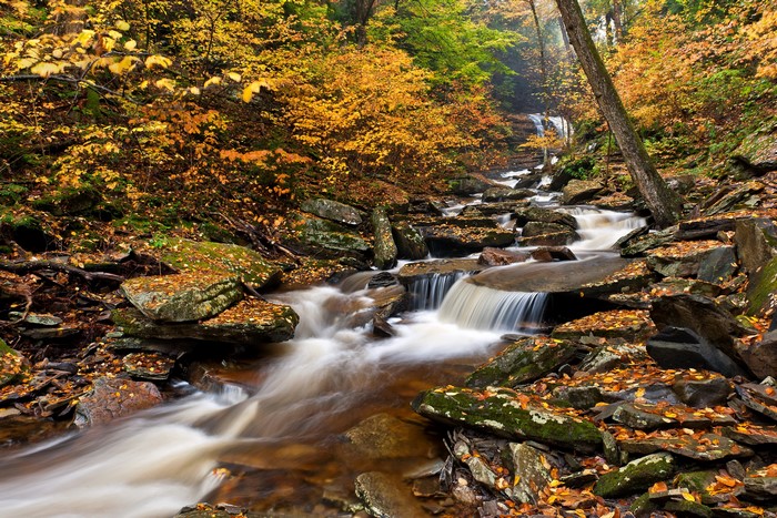 Ricketts Glen State Park Waterfalls in Autumn