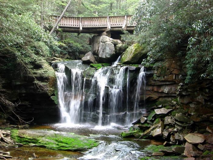Elakala Falls in Blackwater Falls State Park, USA