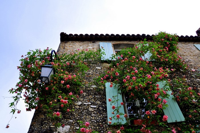 Stone house with climbing roses and shutters