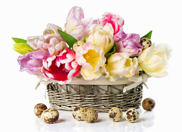 Easter basket with tulips and quail eggs